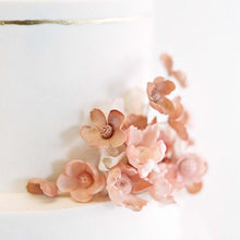 Load image into Gallery viewer, 【Limited winter season Special Offer】Flower Box with Original Essential Oil